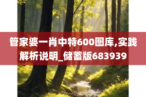 管家婆一肖中特600图库,实践解析说明_储蓄版683939