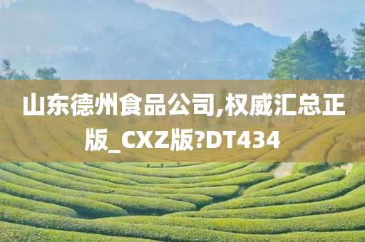 山东德州食品公司,权威汇总正版_CXZ版?DT434