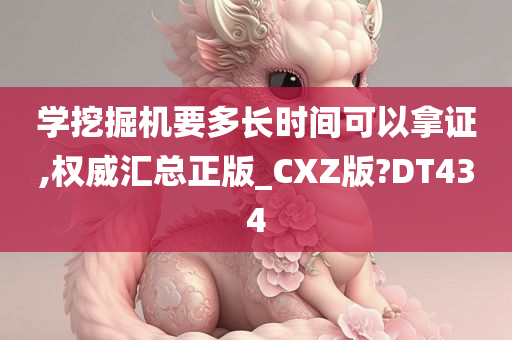 学挖掘机要多长时间可以拿证,权威汇总正版_CXZ版?DT434