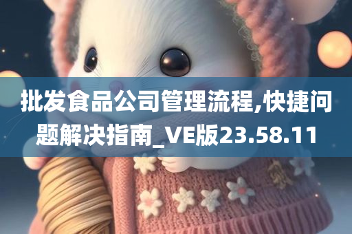 批发食品公司管理流程,快捷问题解决指南_VE版23.58.11