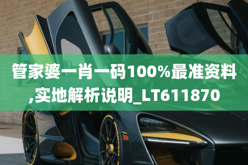 管家婆一肖一码100%最准资料,实地解析说明_LT611870