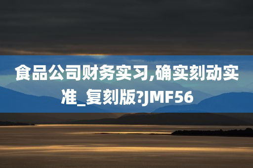 食品公司财务实习,确实刻动实准_复刻版?JMF56