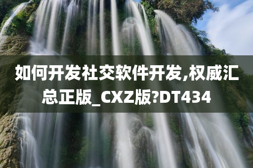 如何开发社交软件开发,权威汇总正版_CXZ版?DT434