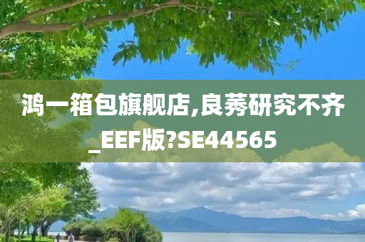 鸿一箱包旗舰店,良莠研究不齐_EEF版?SE44565