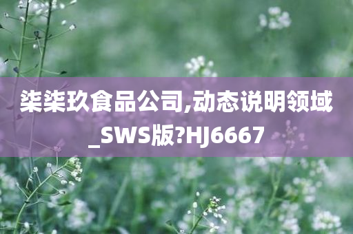 柒柒玖食品公司,动态说明领域_SWS版?HJ6667