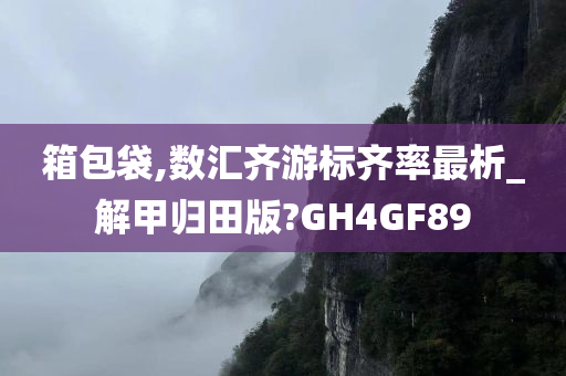 箱包袋,数汇齐游标齐率最析_解甲归田版?GH4GF89