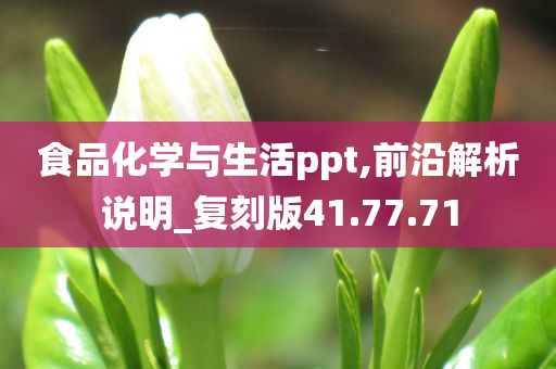 食品化学与生活ppt,前沿解析说明_复刻版41.77.71