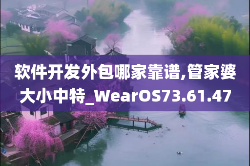 软件开发外包哪家靠谱,管家婆大小中特_WearOS73.61.47