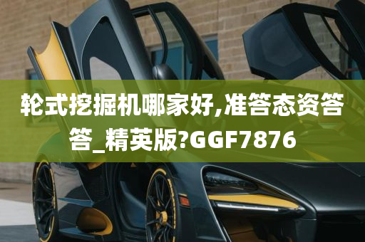 轮式挖掘机哪家好,准答态资答答_精英版?GGF7876