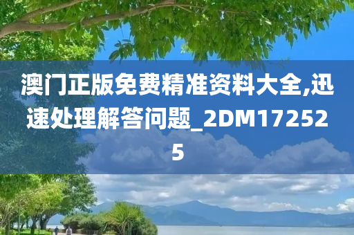 澳门正版免费精准资料大全,迅速处理解答问题_2DM172525