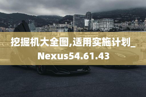 挖掘机大全图,适用实施计划_Nexus54.61.43