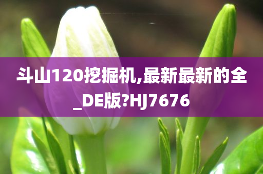 斗山120挖掘机,最新最新的全_DE版?HJ7676