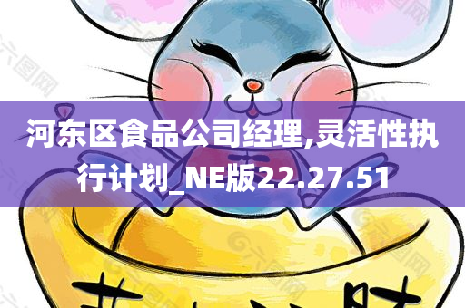 河东区食品公司经理,灵活性执行计划_NE版22.27.51