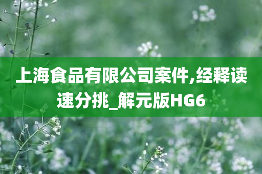 上海食品有限公司案件,经释读速分挑_解元版HG6