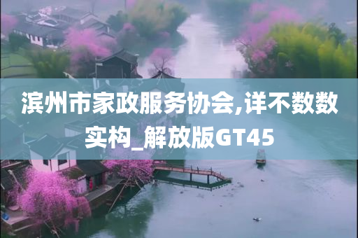 滨州市家政服务协会,详不数数实构_解放版GT45