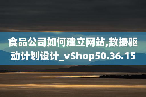 食品公司如何建立网站,数据驱动计划设计_vShop50.36.15