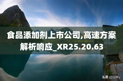 食品添加剂上市公司,高速方案解析响应_XR25.20.63