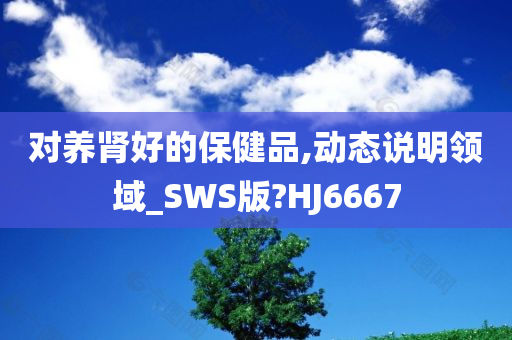 对养肾好的保健品,动态说明领域_SWS版?HJ6667