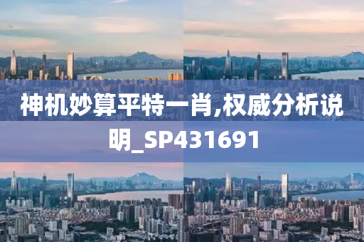 神机妙算平特一肖,权威分析说明_SP431691