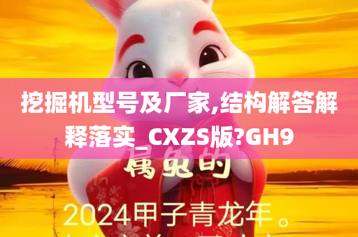 挖掘机型号及厂家,结构解答解释落实_CXZS版?GH9