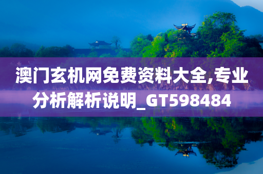 澳门玄机网免费资料大全,专业分析解析说明_GT598484