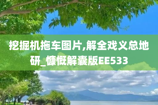 挖掘机拖车图片,解全戏义总地研_慷慨解囊版EE533