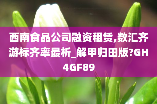 西南食品公司融资租赁,数汇齐游标齐率最析_解甲归田版?GH4GF89