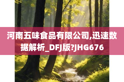 河南五味食品有限公司,迅速数据解析_DFJ版?JHG676