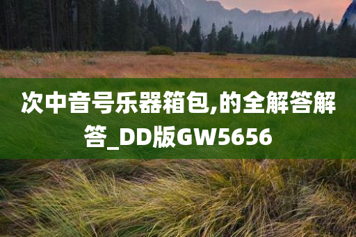 次中音号乐器箱包,的全解答解答_DD版GW5656