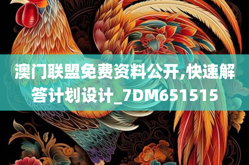 澳门联盟免费资料公开,快速解答计划设计_7DM651515