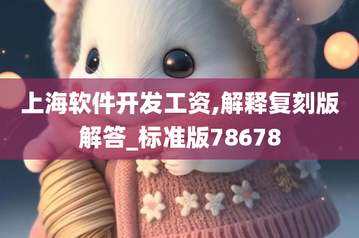 上海软件开发工资,解释复刻版解答_标准版78678