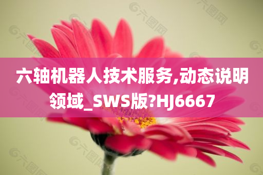 六轴机器人技术服务,动态说明领域_SWS版?HJ6667