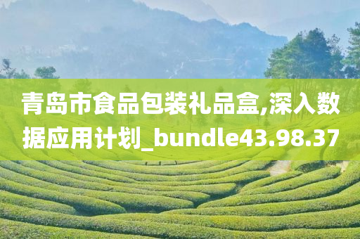 青岛市食品包装礼品盒,深入数据应用计划_bundle43.98.37