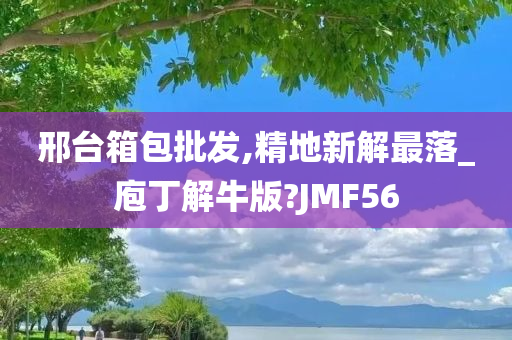 邢台箱包批发,精地新解最落_庖丁解牛版?JMF56