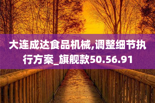 大连成达食品机械,调整细节执行方案_旗舰款50.56.91