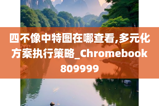 四不像中特图在哪查看,多元化方案执行策略_Chromebook809999