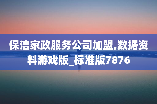 保洁家政服务公司加盟,数据资料游戏版_标准版7876