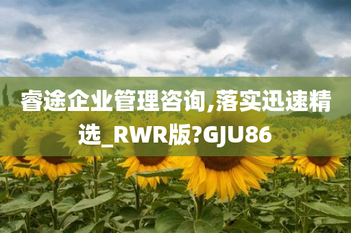 睿途企业管理咨询,落实迅速精选_RWR版?GJU86