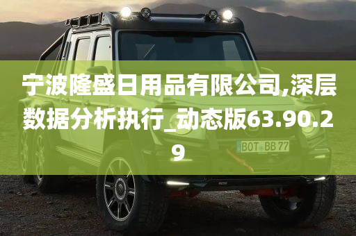 宁波隆盛日用品有限公司,深层数据分析执行_动态版63.90.29