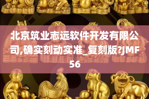 北京筑业志远软件开发有限公司,确实刻动实准_复刻版?JMF56