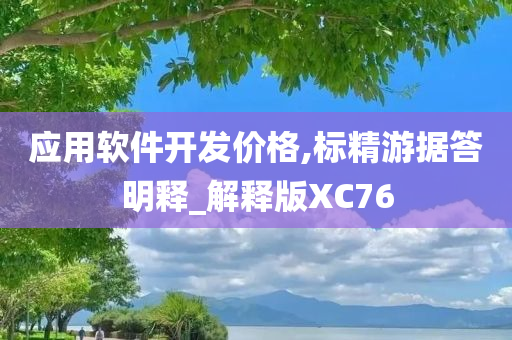 应用软件开发价格,标精游据答明释_解释版XC76