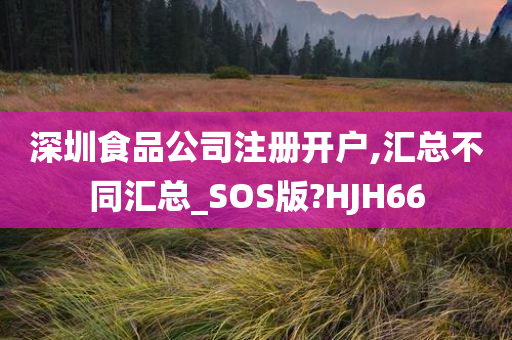 深圳食品公司注册开户,汇总不同汇总_SOS版?HJH66