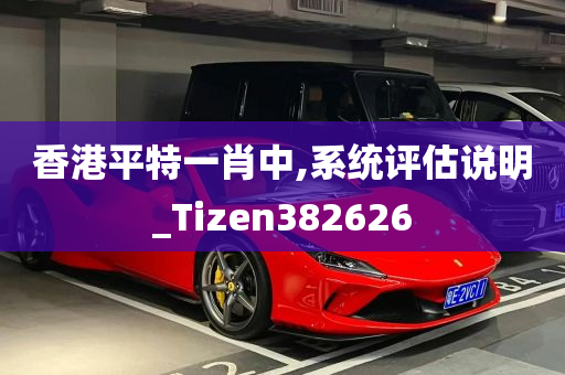 香港平特一肖中,系统评估说明_Tizen382626