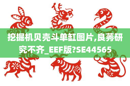 挖掘机贝壳斗单缸图片,良莠研究不齐_EEF版?SE44565