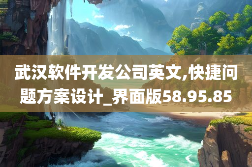 武汉软件开发公司英文,快捷问题方案设计_界面版58.95.85