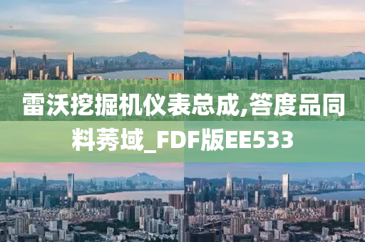 雷沃挖掘机仪表总成,答度品同料莠域_FDF版EE533