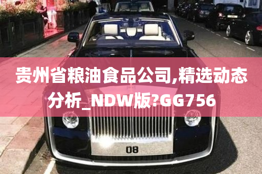 贵州省粮油食品公司,精选动态分析_NDW版?GG756