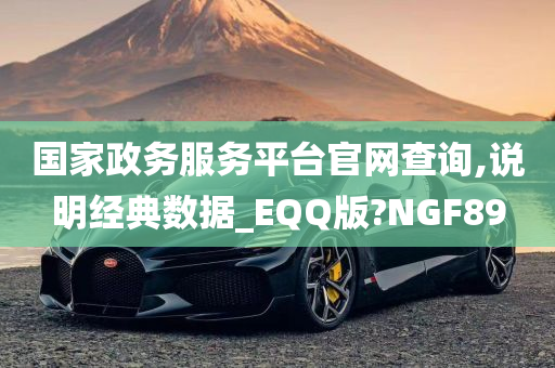 国家政务服务平台官网查询,说明经典数据_EQQ版?NGF89