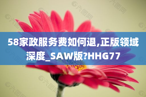 58家政服务费如何退,正版领域深度_SAW版?HHG77