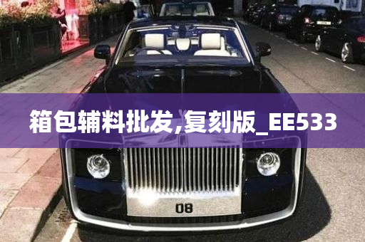 箱包辅料批发,复刻版_EE533